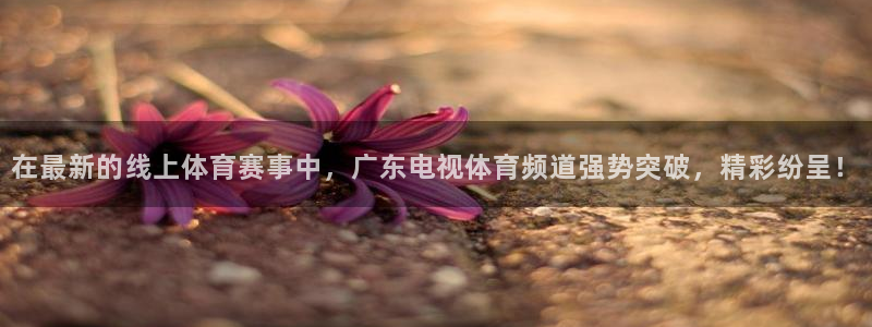 so米体育直播免费：在最新的线上体育赛事中，广东电视体育频道强势突破，精彩纷呈！