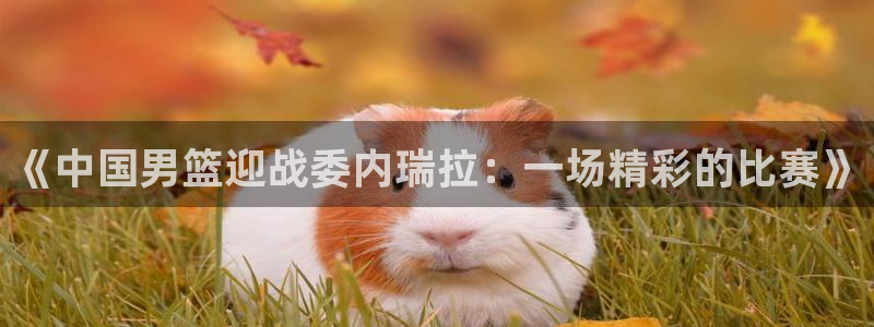 so米直播体育：《中国男篮迎战委内瑞拉：一场精彩的比赛》