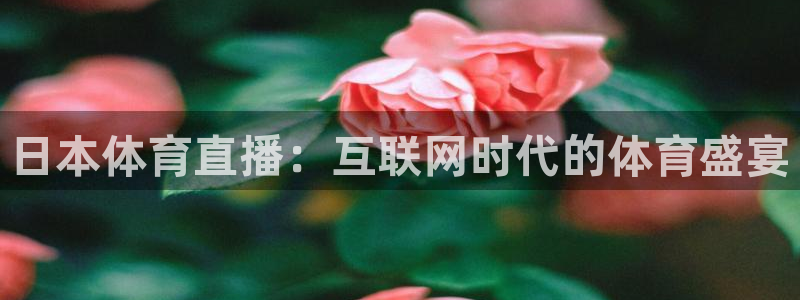 so米足球比赛直播：日本体育直播：互联网时代的体育盛宴