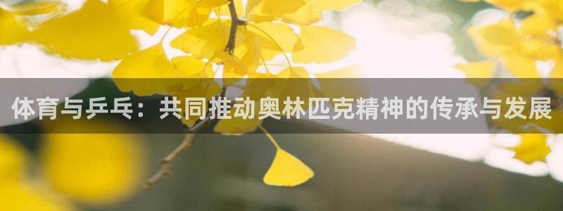 so米体育直播nba在线观看：体育与乒乓：共同推动奥林匹克精神的传承与发展