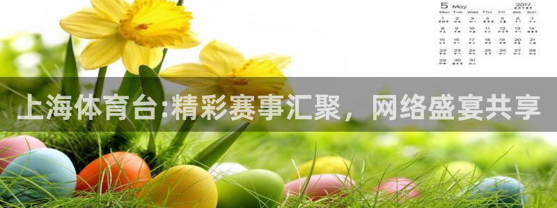 so米nba篮球直播：上海体育台:精彩赛事汇聚，网络盛宴共享
