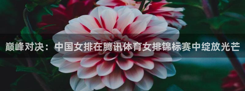 so米体育直播足球：巅峰对决：中国女排在腾讯体育女排锦标赛中绽放光芒