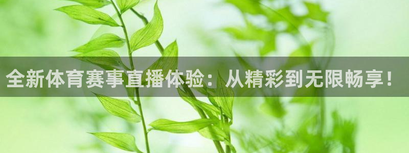 so米体育直播在线观看直播：全新体育赛事直播体验：从精彩到无限畅享！